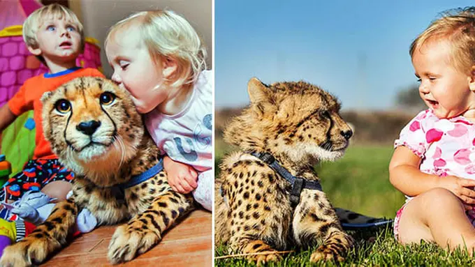 (c) Caters New Agency/TheSun.co.uk