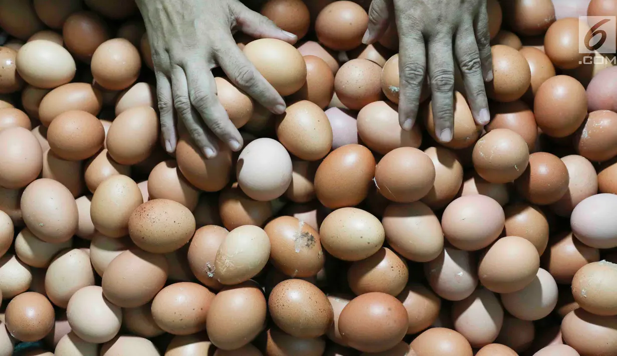 Pedagang merapihkan telur ayam di pasar tradisional Jakarta, Kamis (6/12). Harga telur ayam ras di pasar tradisional di DKI Jakarta mengalami tren kenaikan sejak bulan lalu. (Liputan6.com/Immanuel Antonius)