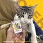 Soleh Pegawai Kucing Ditjen Pajak Serpong (Twitter @DitjenPajakRI)