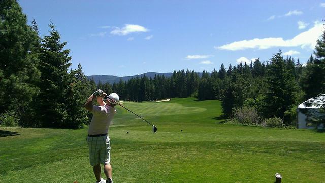 Ilustrasi rumput (sumber: Pixabay)