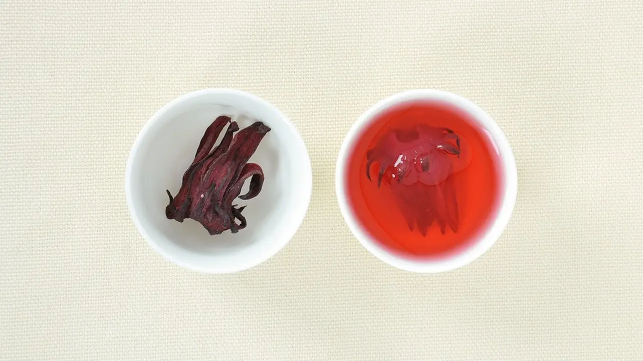Ilustrasi bunga rosella.