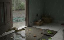 8 Celah di Rumah yang Sering Terabaikan dan Jadi Pintu Masuk Ular
