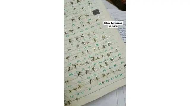 6 Potret Kreativitas Netizen Melihat Nyamuk Mati Ini Bikin Geleng-geleng