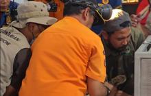 6 Jam Menegangkan! Macan Tutul Jantan Berhasil Dievakuasi dari Balai Desa di Kuningan