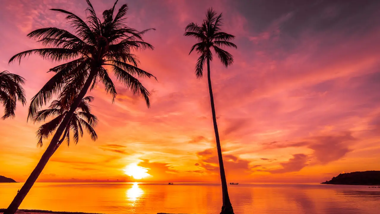 Ilustrasi sunset
