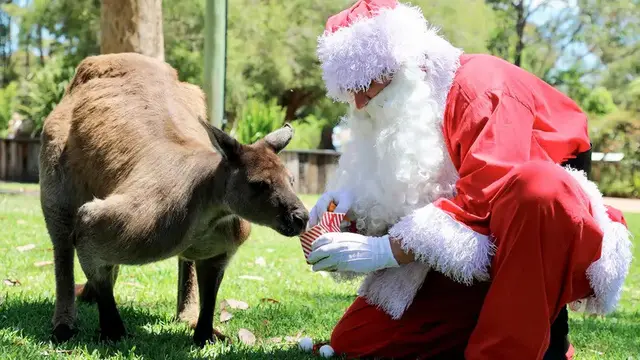 Sinterklas dan Hewan.