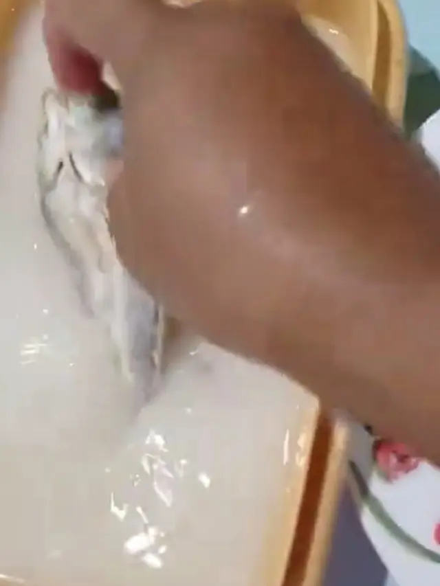 Tanpa Dibalur Garam atau Direndam Air Panas, Ini Kurangi Rasa Asin Pada Ikan Asin