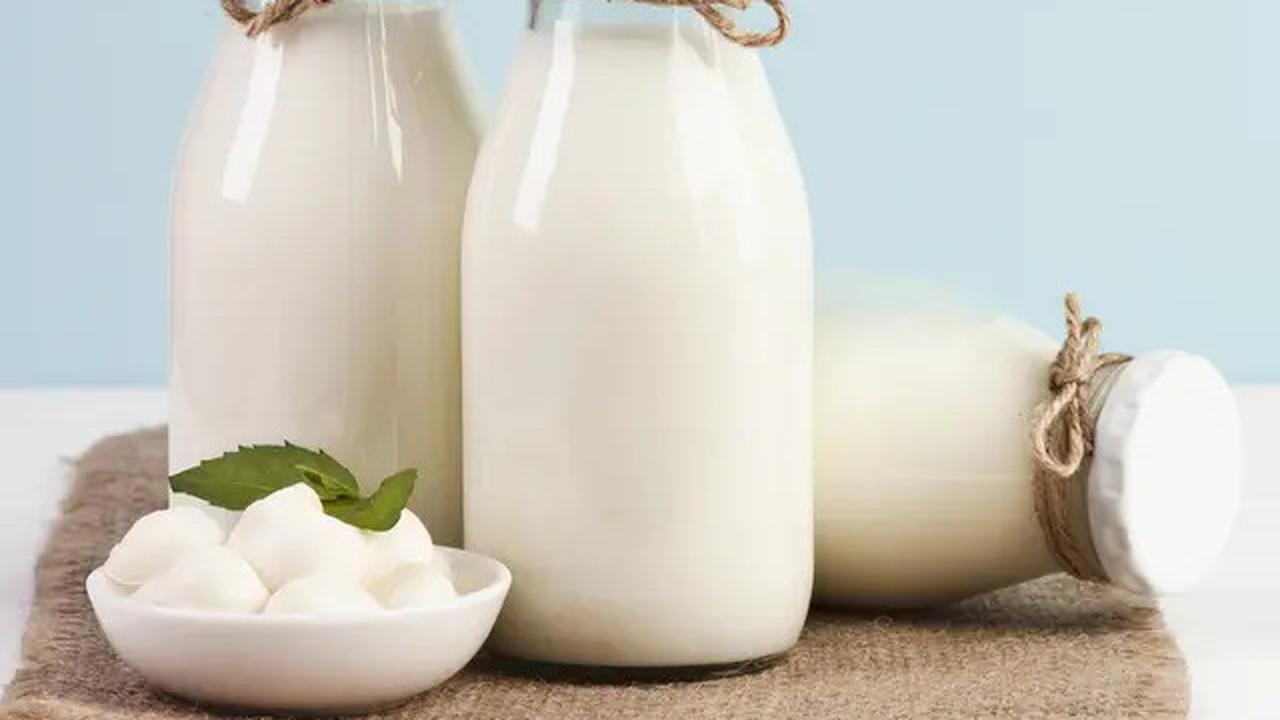 Perbedaan Susu Ikan dan Susu Sapi, Lebih Baik Pilih yang Mana?