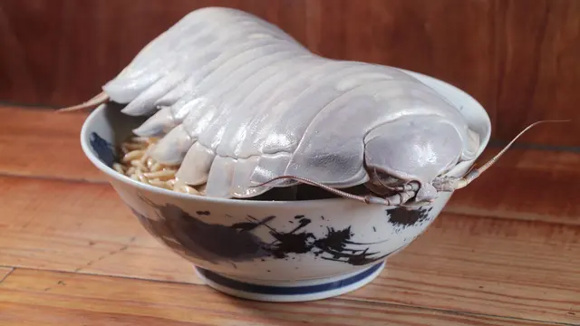 Kedai ramen, The Ramen Boy di Taiwan menjual menu mie dengan topping isopoda, hewan laut berkaki 14 seharga 1480 dolar baru Taiwan atau sekitar Rp 718 ribu. (Facebook/The Ramen Boy)