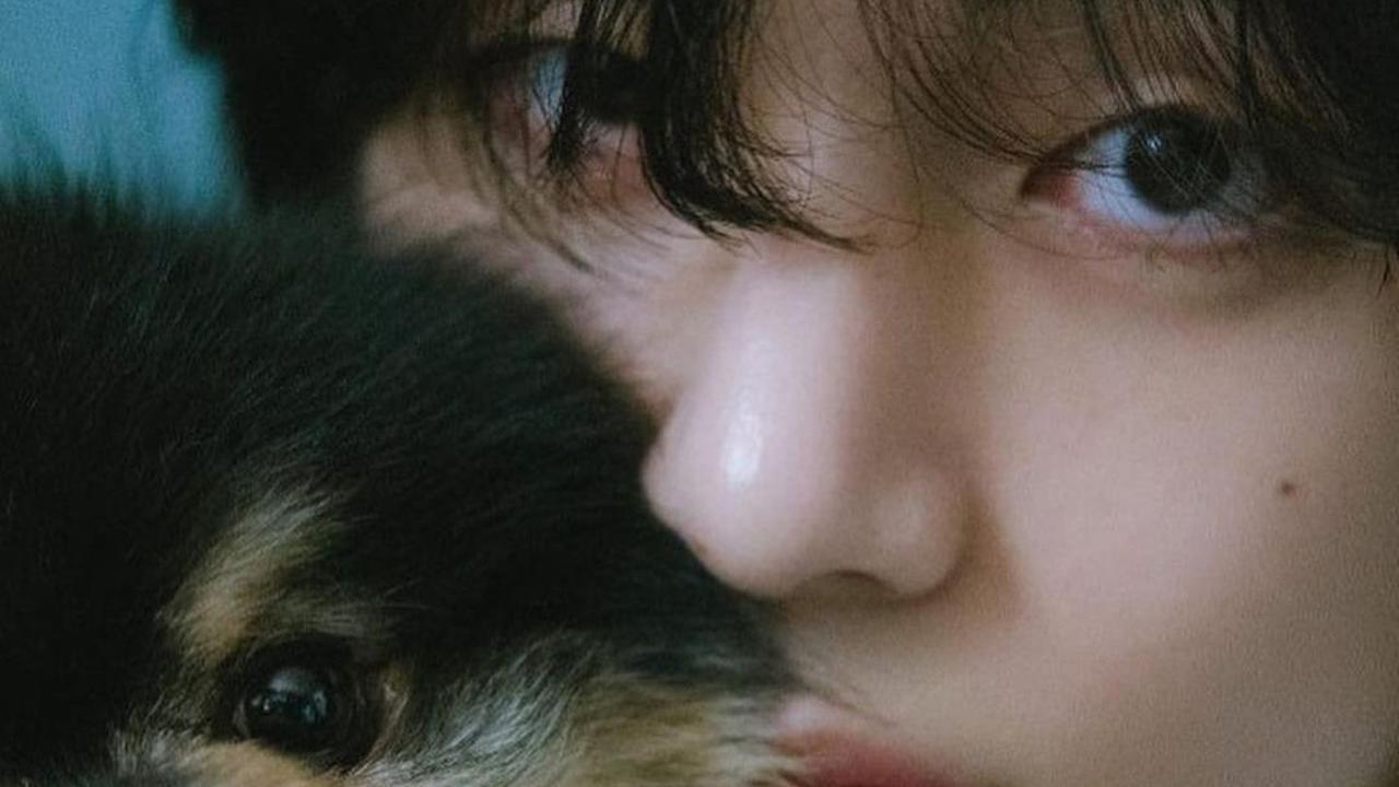 Pencapaian tersebut tak membuat V BTS puas. Dia masih rajin melakukan sejumlah kegiatan promosi untuk album debut solonya.&nbsp;