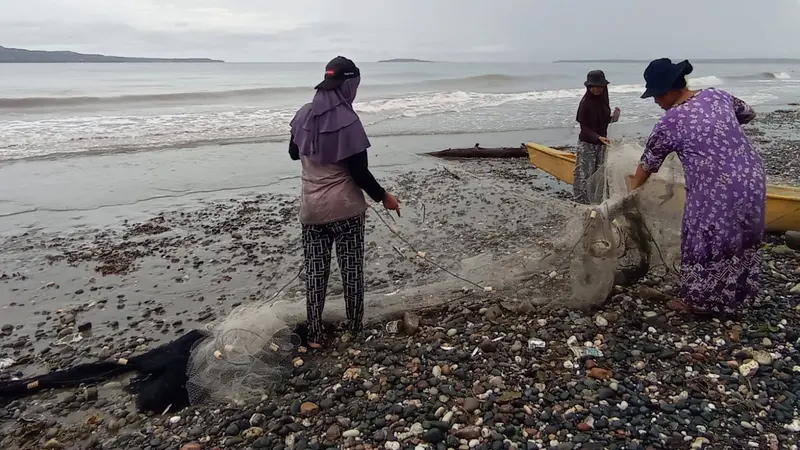 Nelayan wanita di Kabupaten Buton Selatan membantu suami dan orang tua mereka menarik pukat ikan di pesisir pantai.(Liputan6.com/Ahmad Akbar Fua)