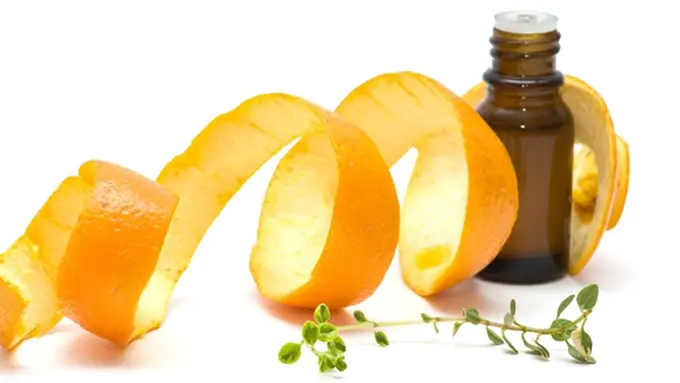 Courtesy ShutterStock.com