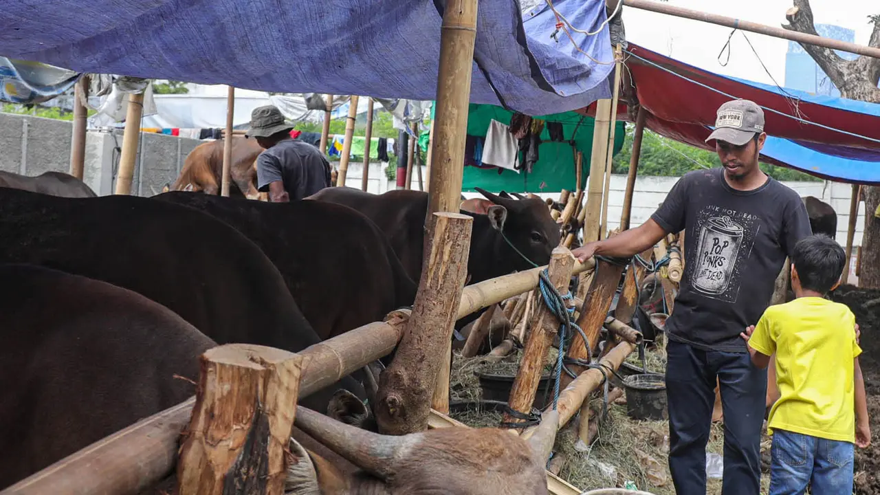 Pedagang Hewan Kurban Ramaikan Jakarta