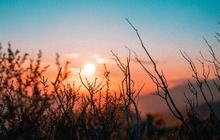 80 Caption Sunrise Lucu dan Estetik, Hiasi Postingan Medsos