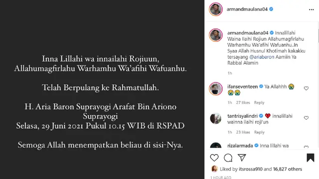 Armand Maulana