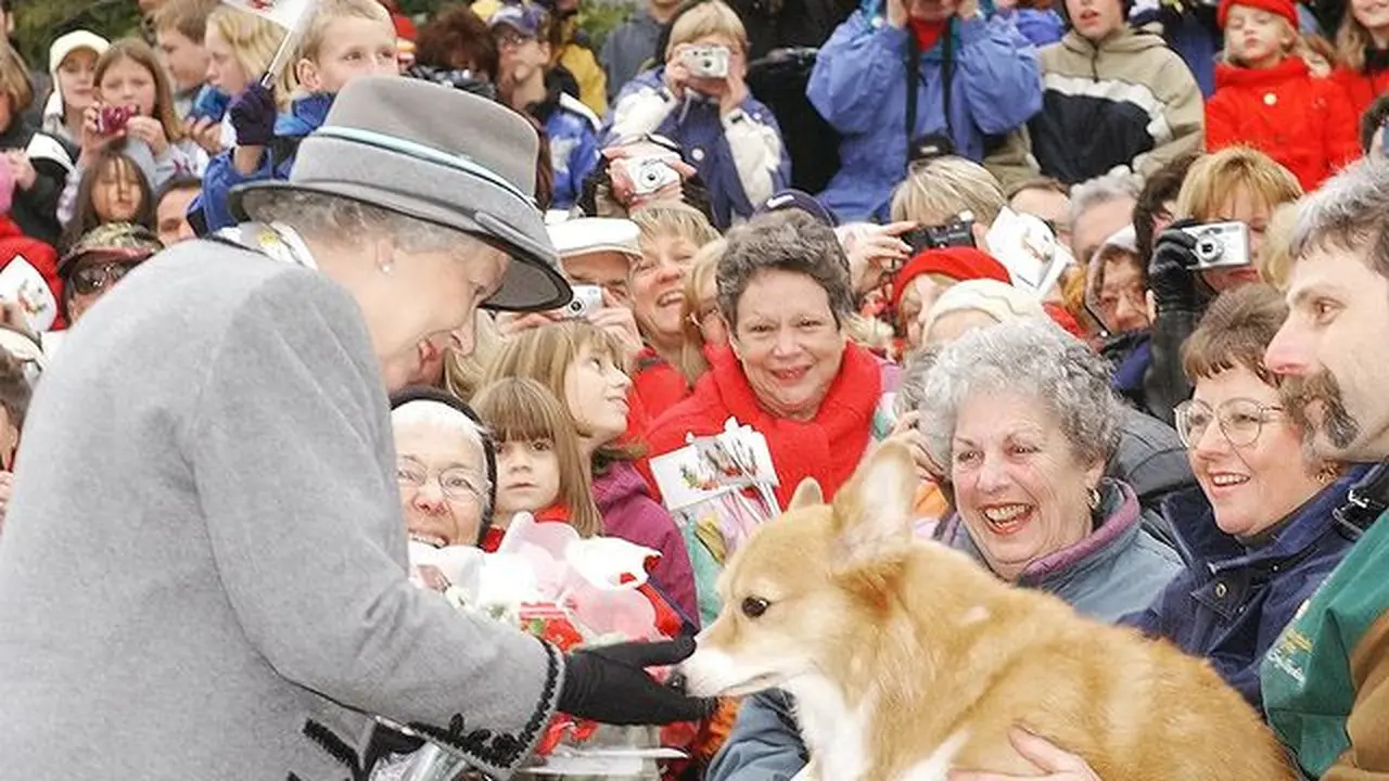 Menilik Nasib Anjing Corgi Ratu Elizabeth II Setelah Meninggal Dunia
