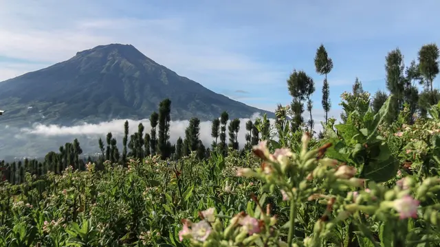 Desa Wisata Kampung Mbako