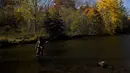 Seorang nelayan melemparkan pancingnya saat dia memancing ikan trout di Credit River di antara warna-warni musim gugur di Mississauga, Ontario, pada Kamis, 27 Oktober 2022. (Nathan Denette/The Canadian Press via AP)