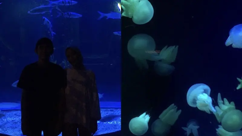 Suasana di dalam Jakarta Aquarium