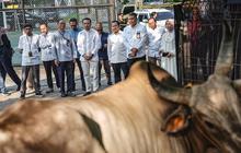 Pertamina Patra Niaga Salurkan 2.031 Hewan Kurban Pada Iduladha 1447 H, Disebar ke Berbagai Wilayah