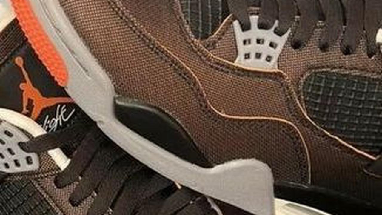 10. Women's Air Jordan 4 Starfish｜CW7183-100<br>