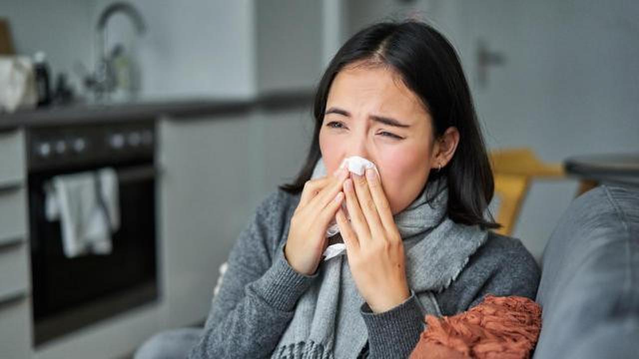 7 Fakta Super Flu Virus alias Influenza Subclade K yang Sudah Masuk Indonesia