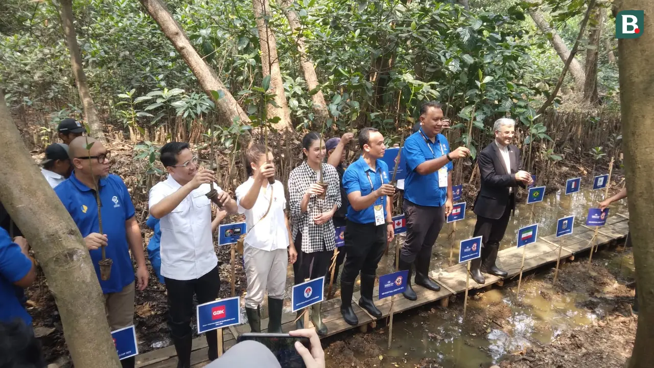 Penanaman mangrove menyambut FIBA World Cup 2023