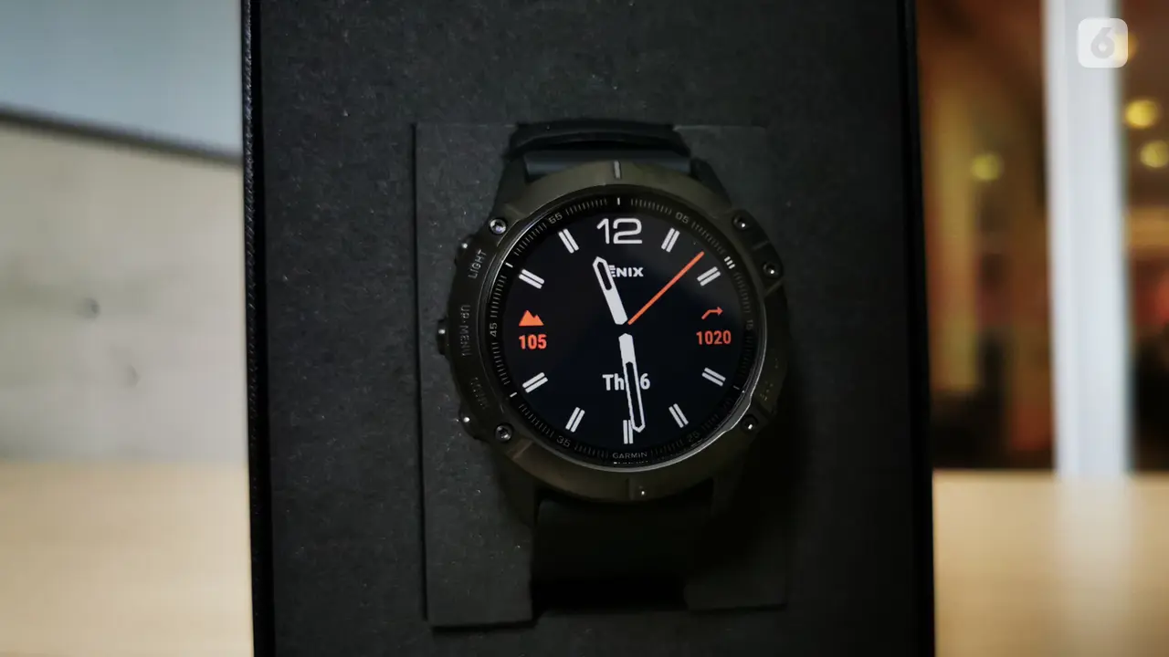Garmin fenix 6x Sapphire