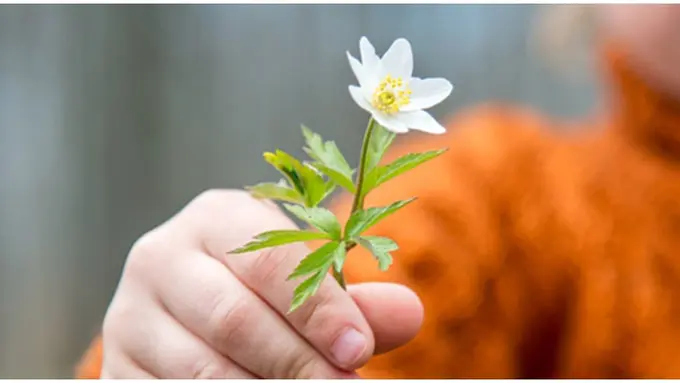 Foto: copyright shutterstock.com