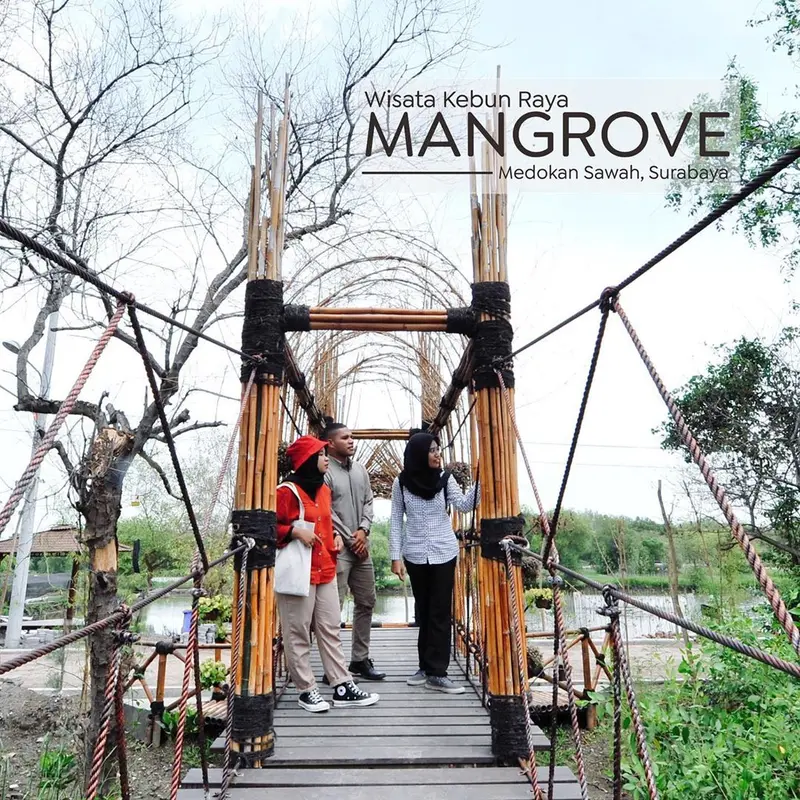 Potret Taman Mangrove Medokan, Spot Wisata Baru di Surabaya
