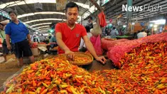 Harga cabai di sejumlah daerah di Indonesia melambung. Salah satunya di kabupaten Raja Ampat, Papua Barat.