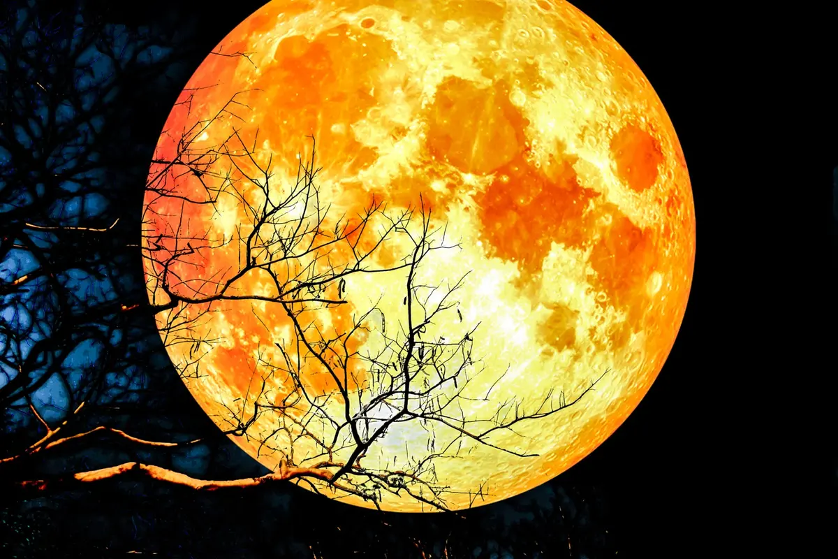 Super Blood Wolf Moon