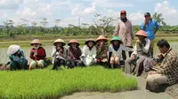 Menilik Bagaimana Petani Banyumas Bersahabat dengan Paceklik