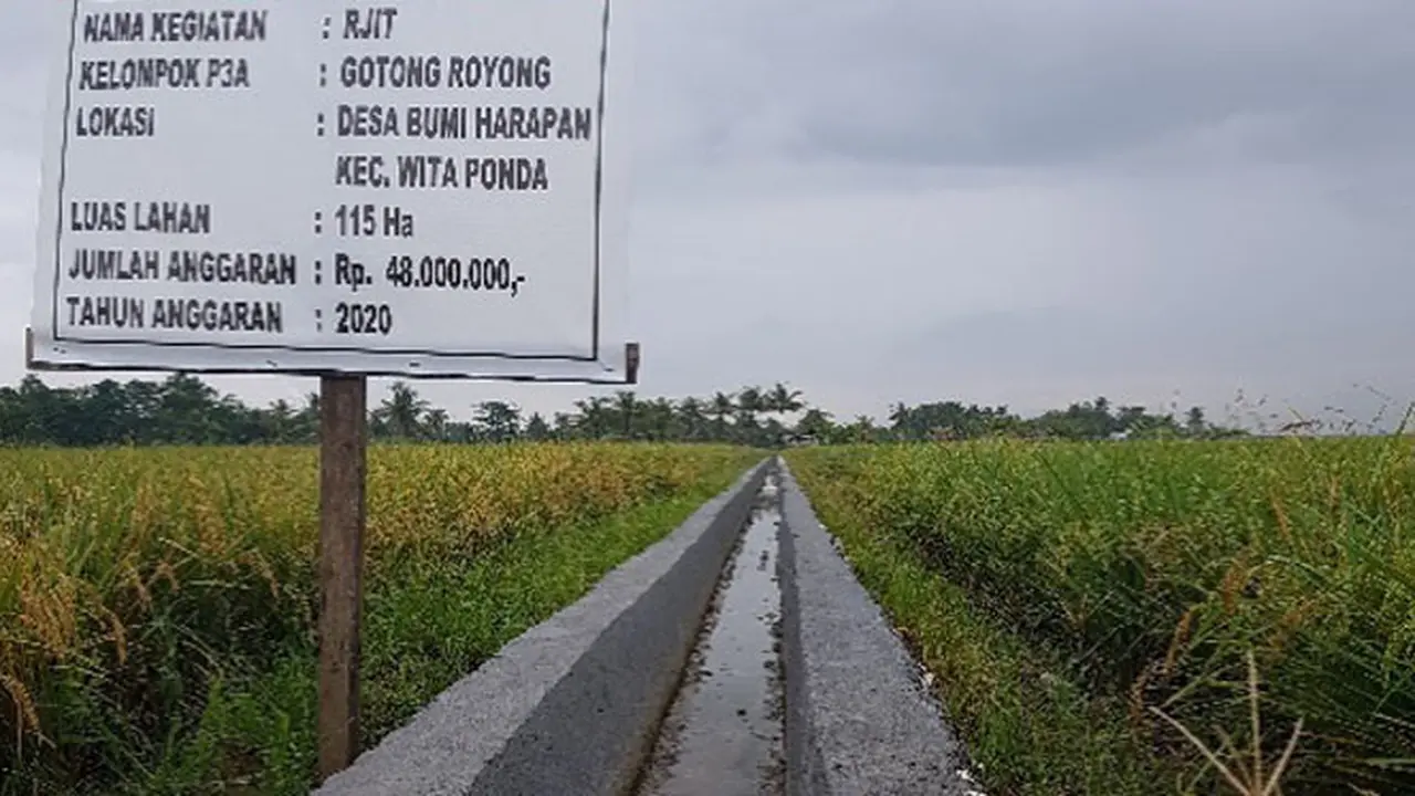 Tingkatkan Produktivitas, Ditjen PSP Kementan Lakukan Kegiatan RJIT di Morowali