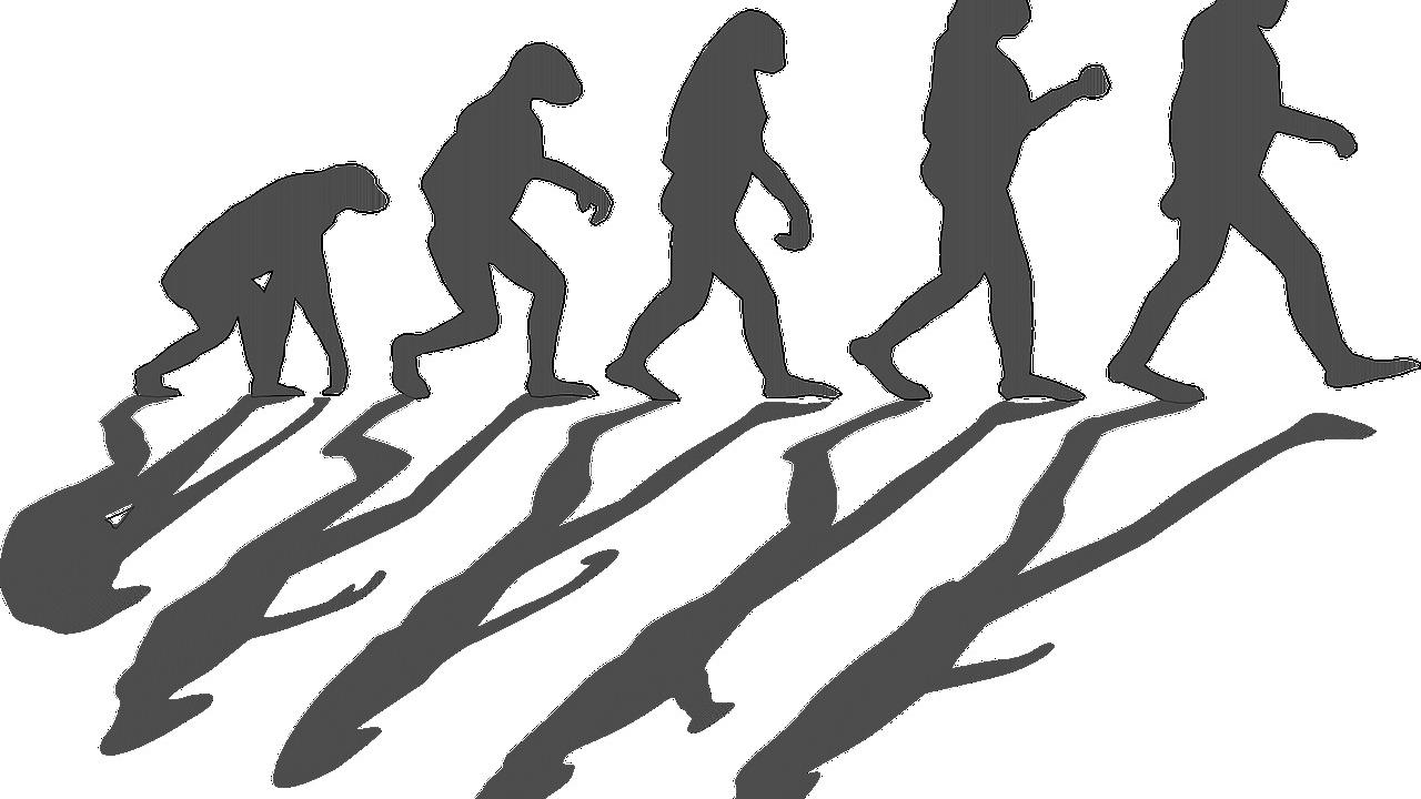 Ilustrasi evolusi manusia. (OpenClipart-Vectors/Pixabay)
