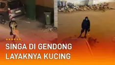 Seorang pria terekam kamera warga lakukan hal yang tak lazim.