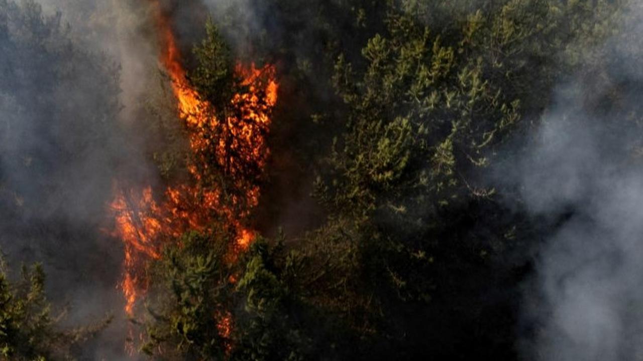 Salah satu titik api yang terpantau dari udara yang membakar hutan di Nemocon, Kolombia pada 24 Januari 2024.<br>(Foto Luis ACOSTA / AFP)