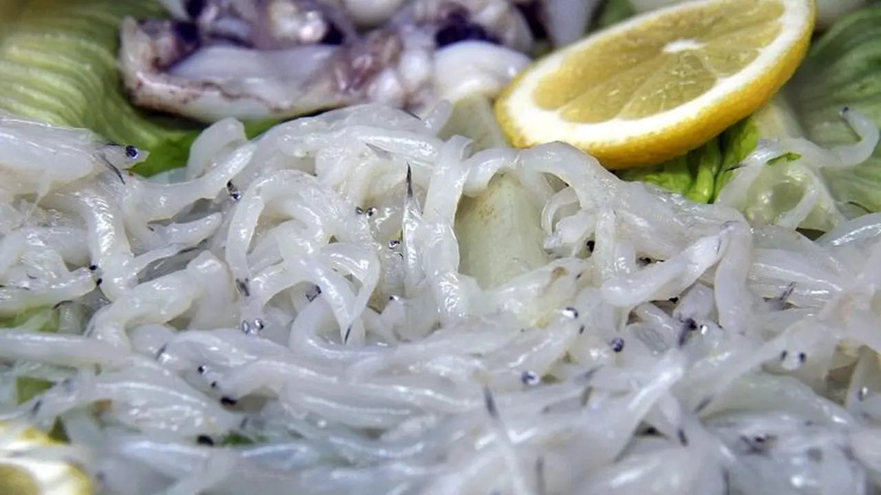 Aneh, Bayi Belut Berlendir Ini Malah Jadi Makanan Termahal di Spanyol
