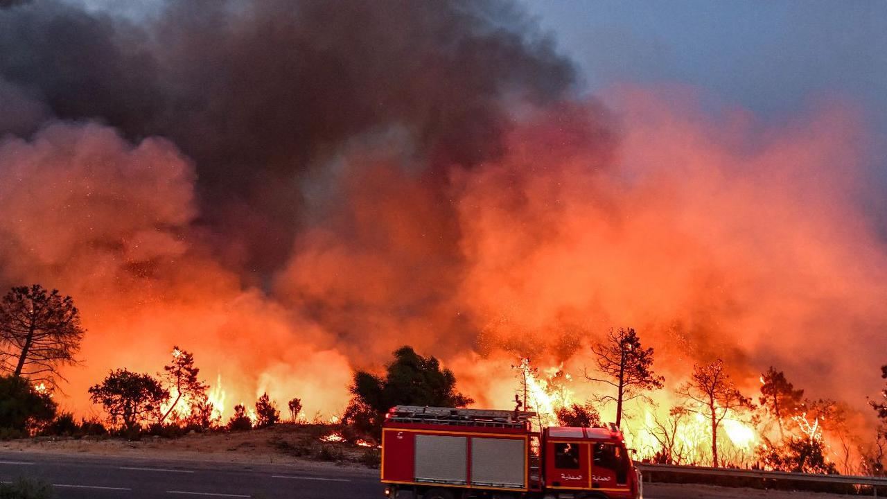 Musibah kebakaran hutan di Aljazair telah menyebar dengan cepat ke negeri tetangga, Tunisia.

Kedahsyatan kobaran apinya telah melanda dan menghanguskan sepanjang pesisir Laut Mediterania di kawasan itu.