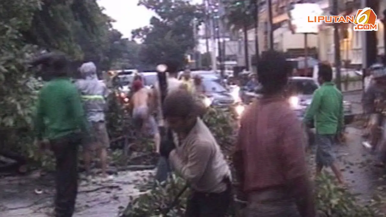 pohon-tumbang-131130a.jpg