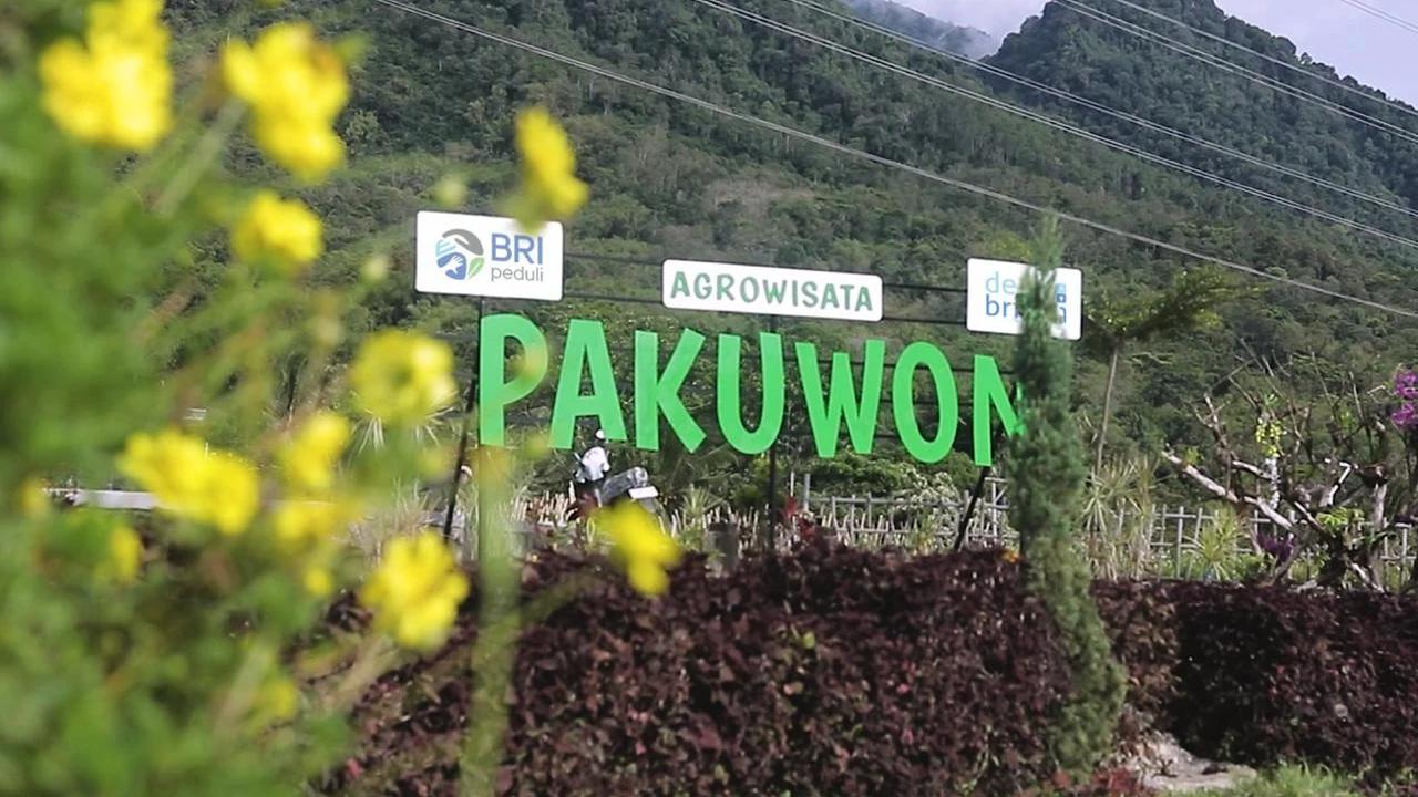 Dapat Pemberdayaan Program Desa BRILian, Dua Desa ini Tumbuh dengan Memaksimalkan Potensi Lokal