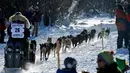 Michelle Phillips meninggalkan Deshka Landing bersama timnya saat Iditarod Sled Dog Race di Deshka Landing di Willow, Alaska, Minggu (7/3/2021). Sled Dog Trail merupakan lomba balap kereta luncur yang ditarik oleh anjing yang digelar tiap tahun. (Marc Lester/Anchorage Daily News via AP)