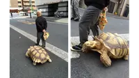 Bon-chan berjalan-jalan bersama ayahnya (foto: twitter)