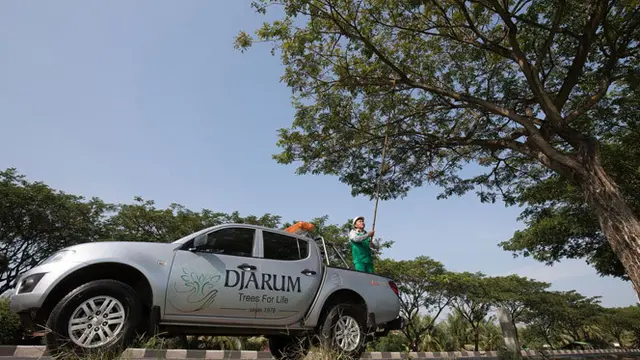 Sebagai Duta Lingkungan Djarum Trees For Life
