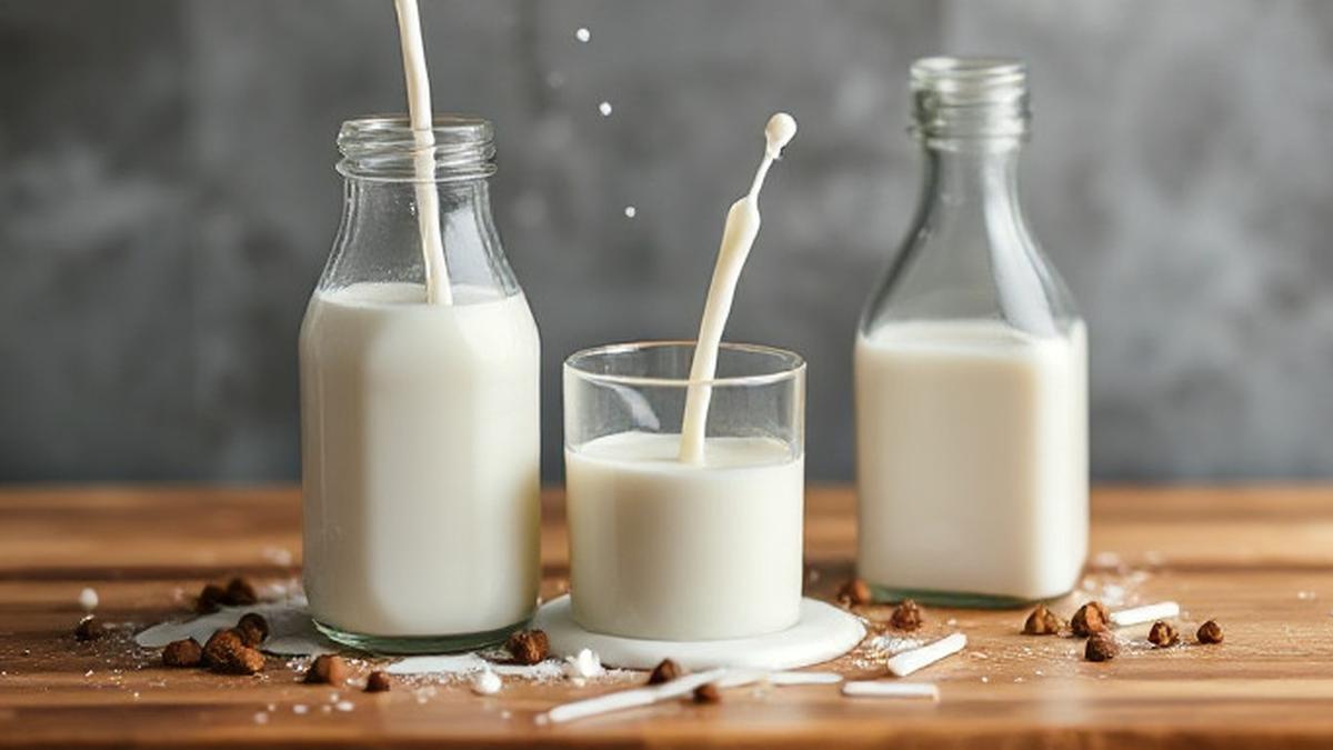 Susu dalam Program Makan Bergizi Gratis, Apa Wajib Selalu Ada?
