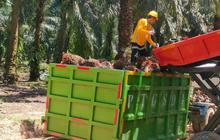 Astra Agro Targetkan 100% Ketertelusuran Rantai Pasok Sawit hingga 2024: Ini Inovasi Digitalnya