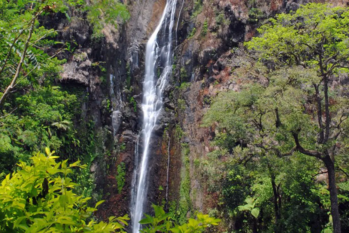 Potret Keindahan Air Terjun Sedudo Sebelum Longsor
