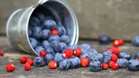 Para peneliti mendapati bahwa ekstrak bluberry bisa mencegah timbulnya plak pada gigi dan mengobati penyakit gusi. 