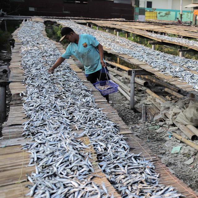 Sering Disepelekan Ini 7 Manfaat Ikan Asin Bagi Kesehatan Hot Liputan6 Com