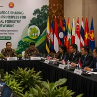 Tata Kelola Perhutanan Sosial ASEAN Diperkuat Lewat Kolaborasi Regional